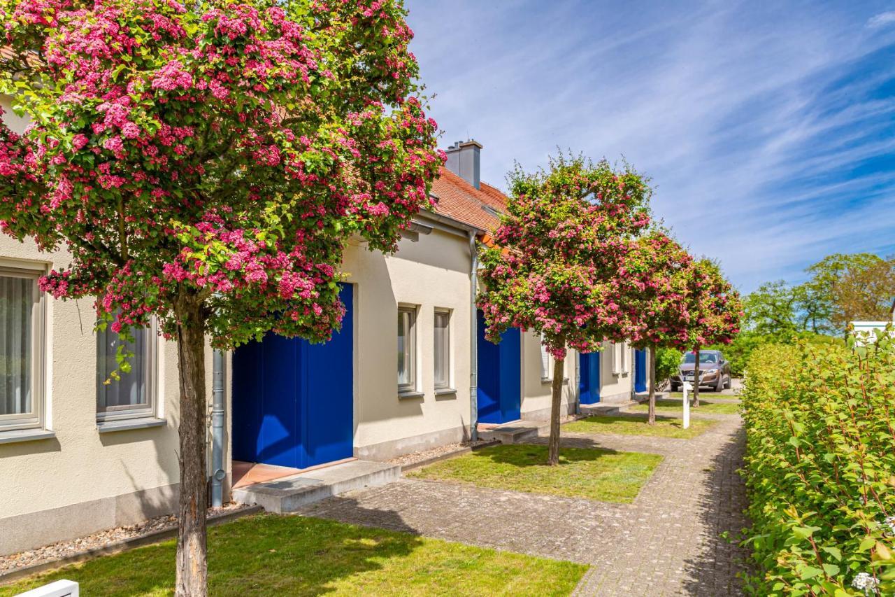 Apartment Biber Mit Terrasse Dewichow Bagian luar foto